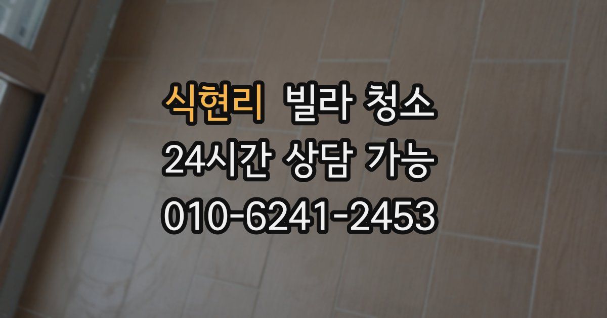 식현리 빌라 청소