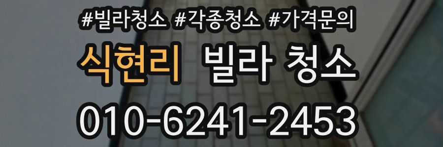 식현리 빌라 청소