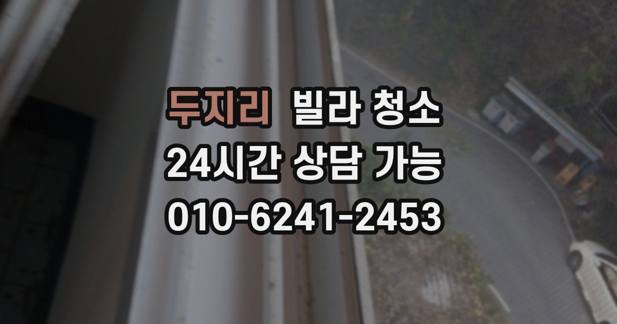 두지리 빌라 청소