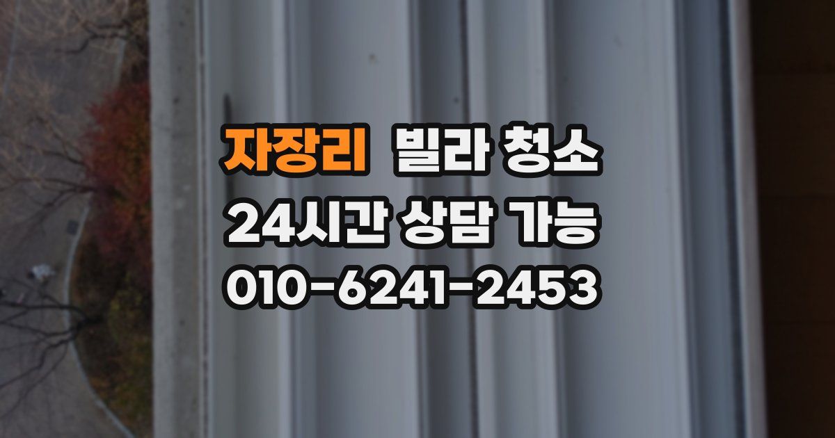자장리 빌라 청소