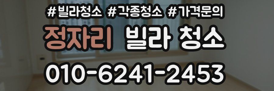 정자리 빌라 청소