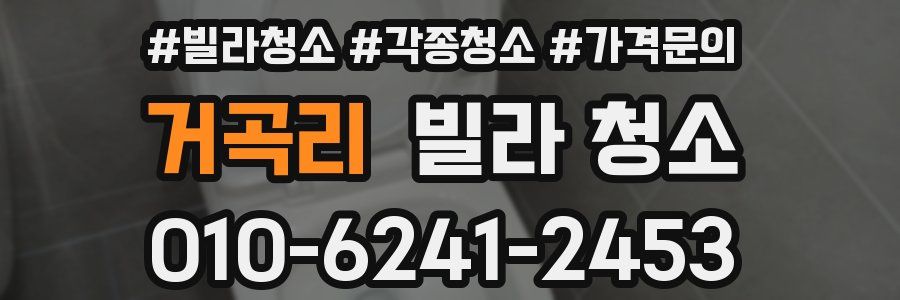 거곡리 빌라 청소