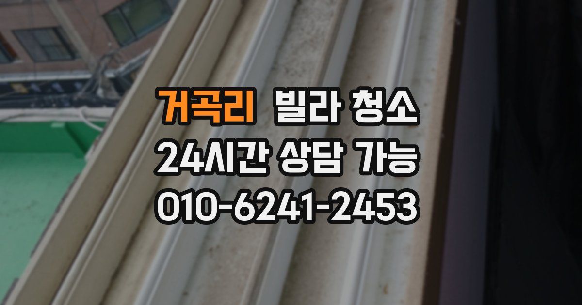 거곡리 빌라 청소