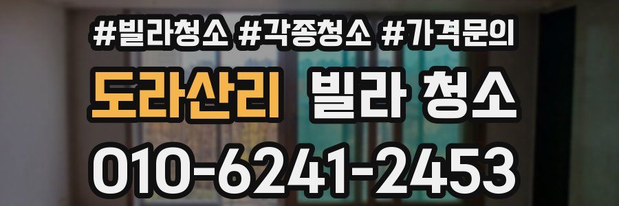 도라산리 빌라 청소