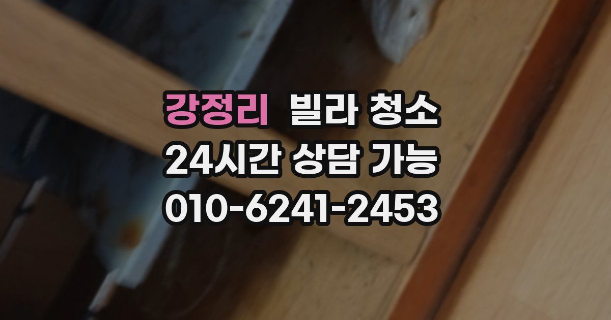 강정리 빌라 청소