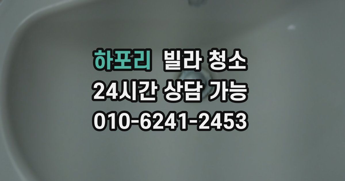 하포리 빌라 청소