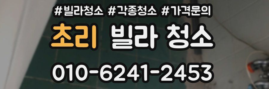 초리 빌라 청소