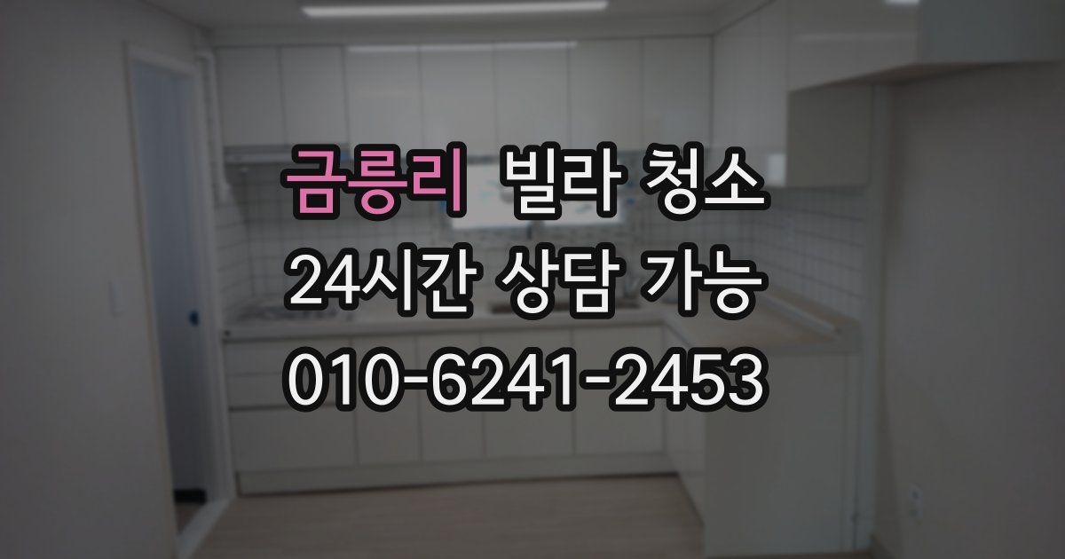 금릉리 빌라 청소