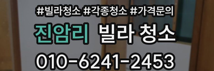 진암리 빌라 청소