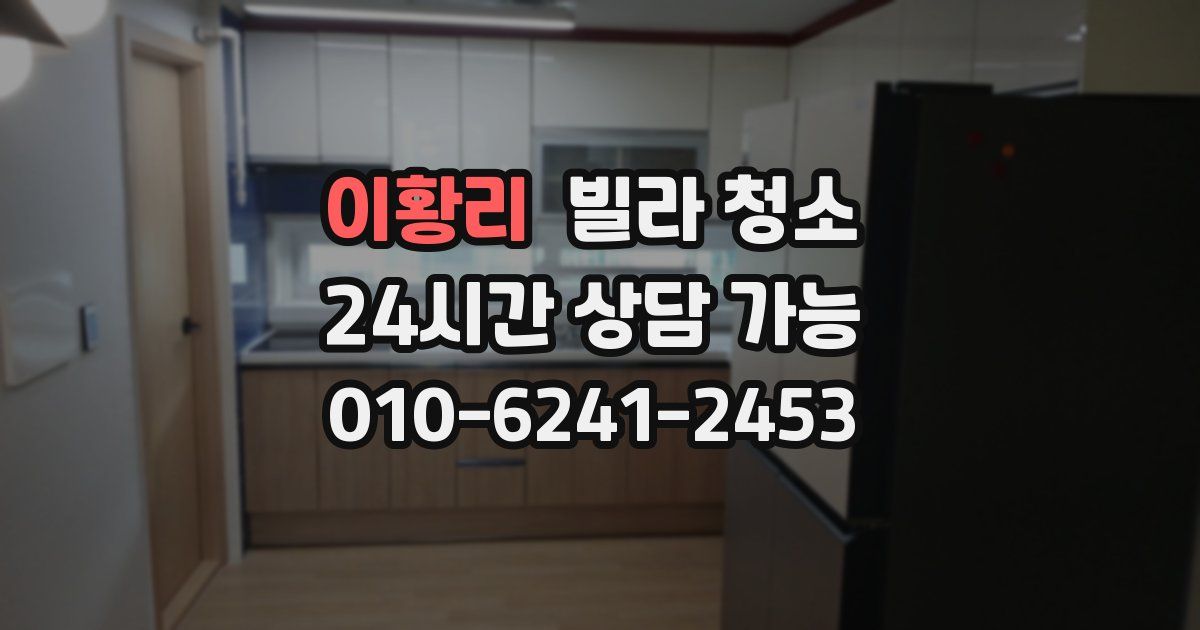 이황리 빌라 청소