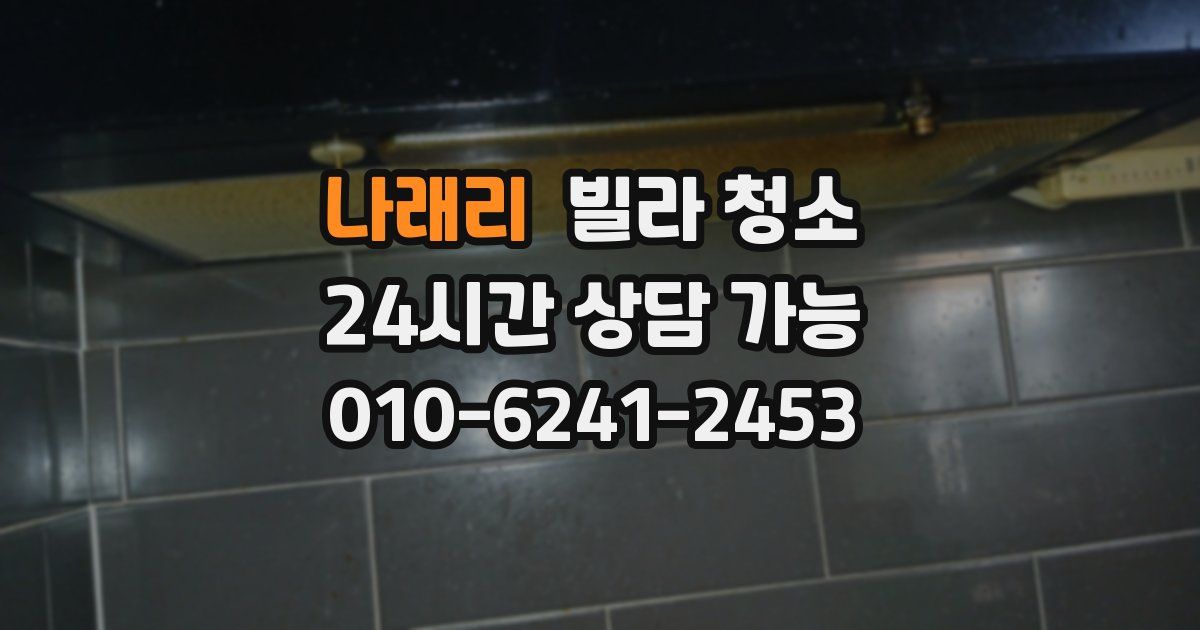 나래리 빌라 청소