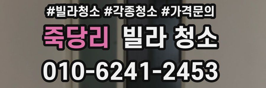 죽당리 빌라 청소