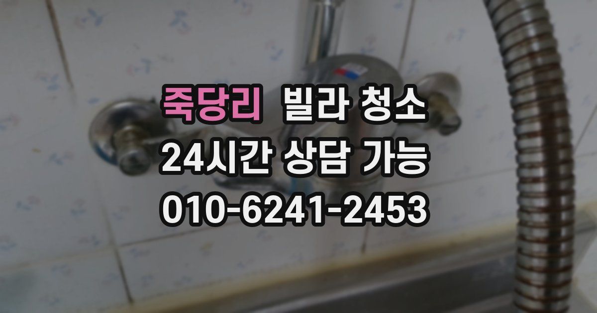 죽당리 빌라 청소