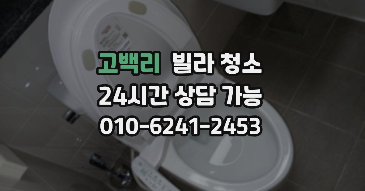 고백리 빌라 청소