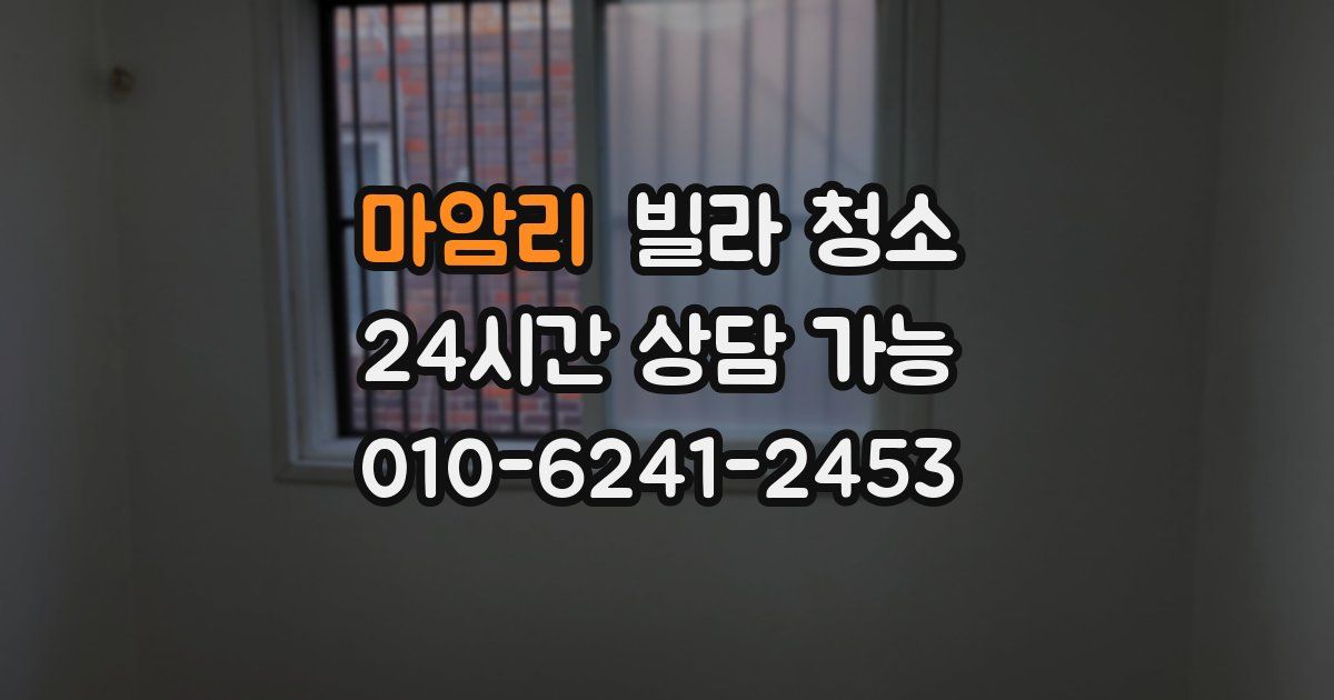 마암리 빌라 청소