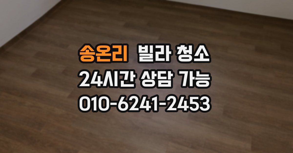 송온리 빌라 청소