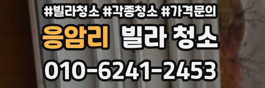 응암리 빌라 청소