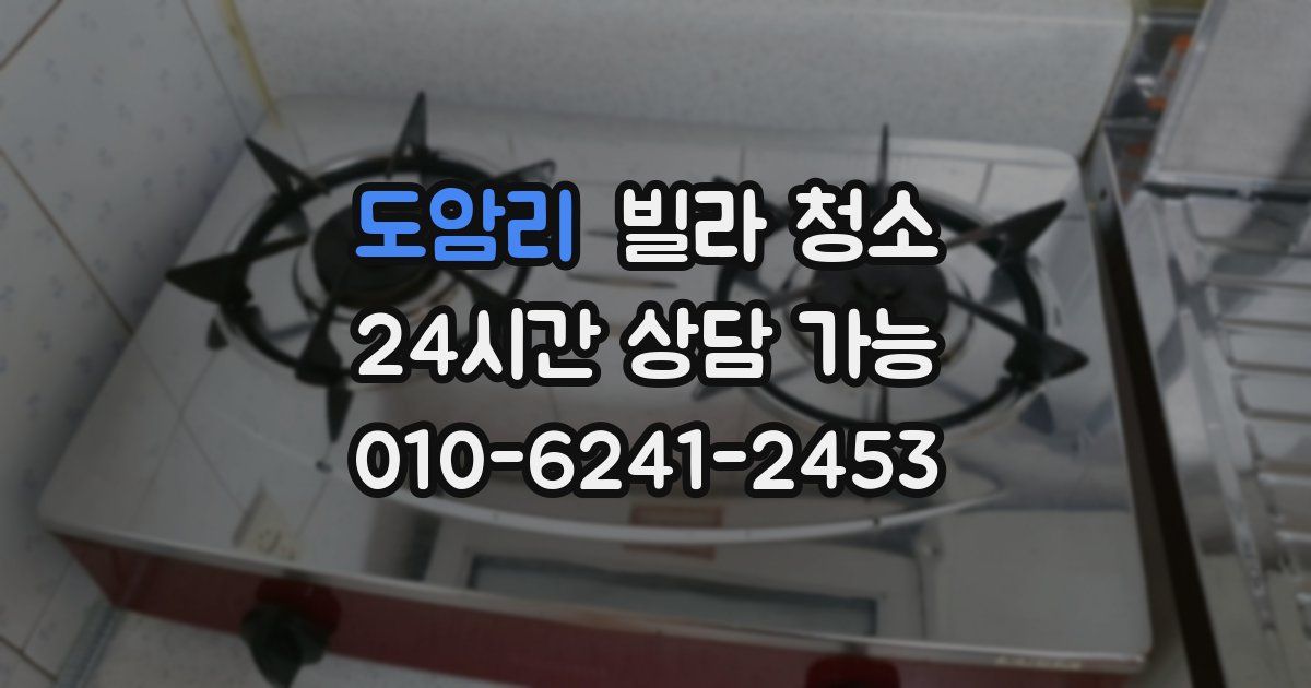 도암리 빌라 청소