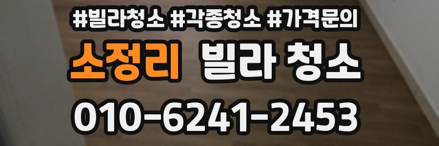 소정리 빌라 청소