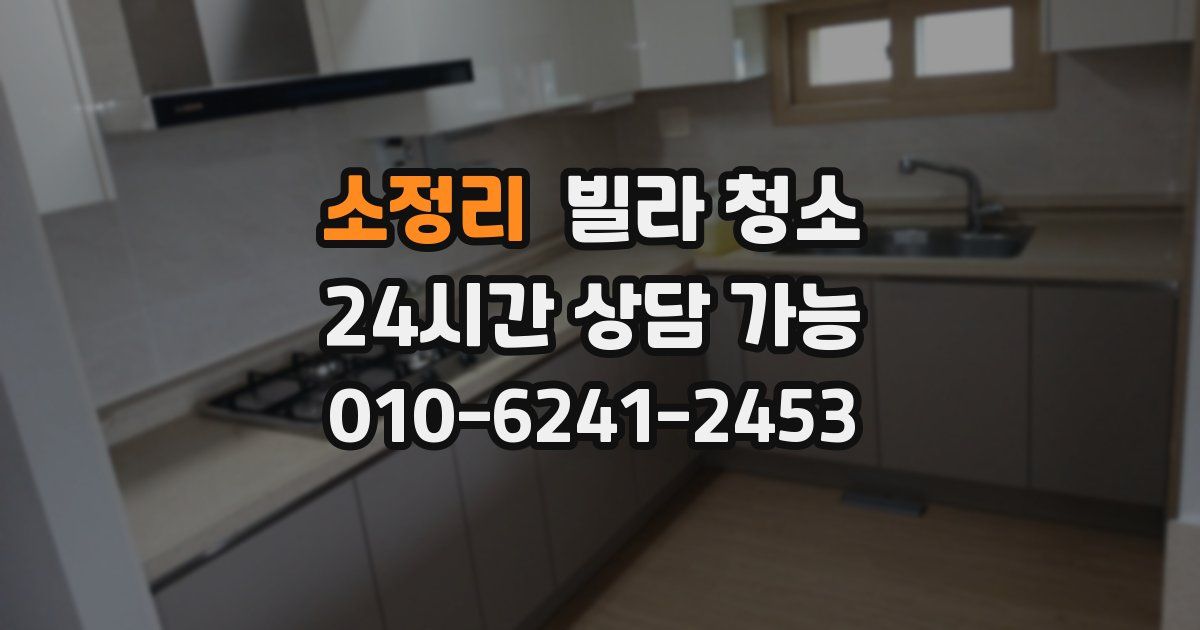 소정리 빌라 청소