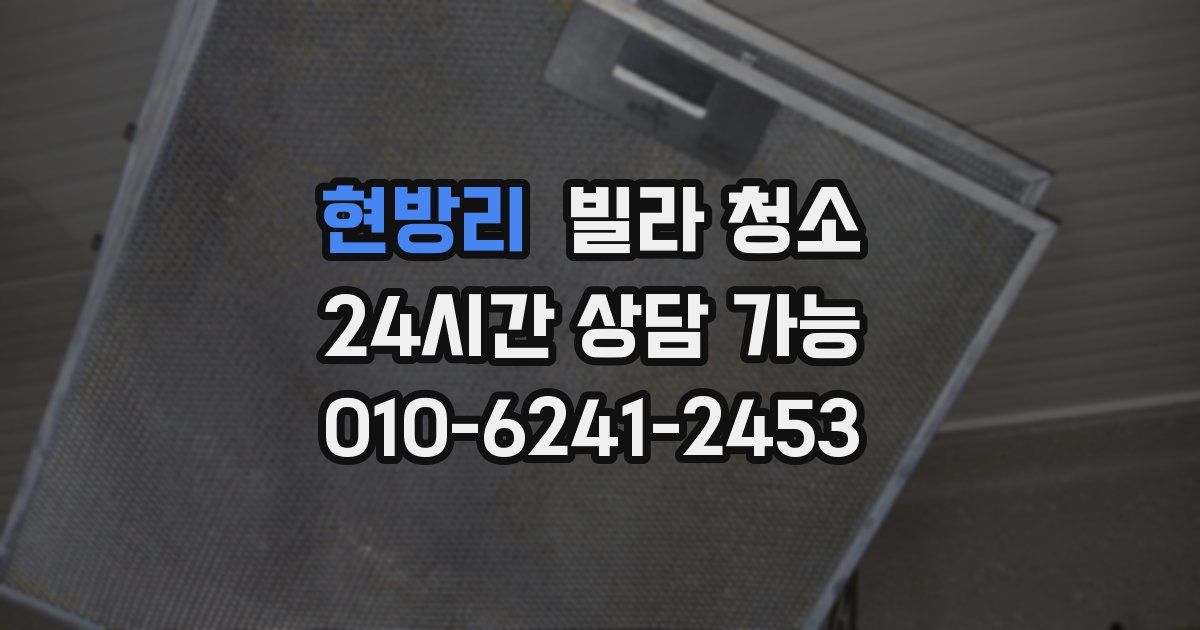 현방리 빌라 청소