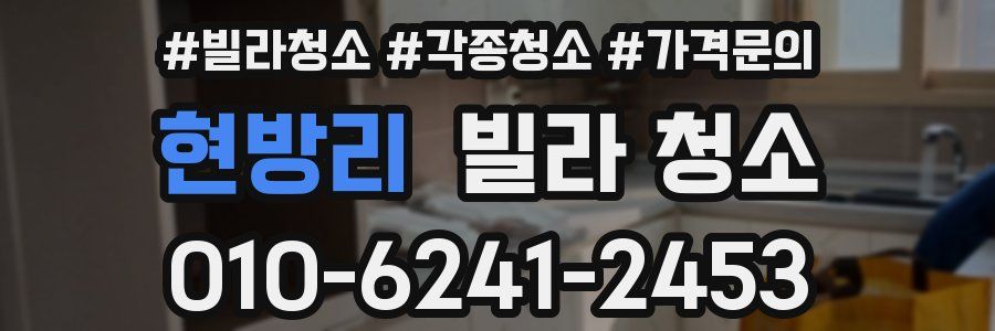 현방리 빌라 청소
