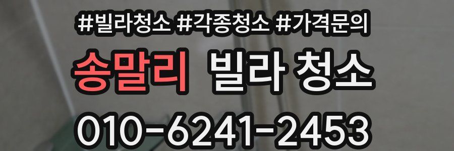 송말리 빌라 청소