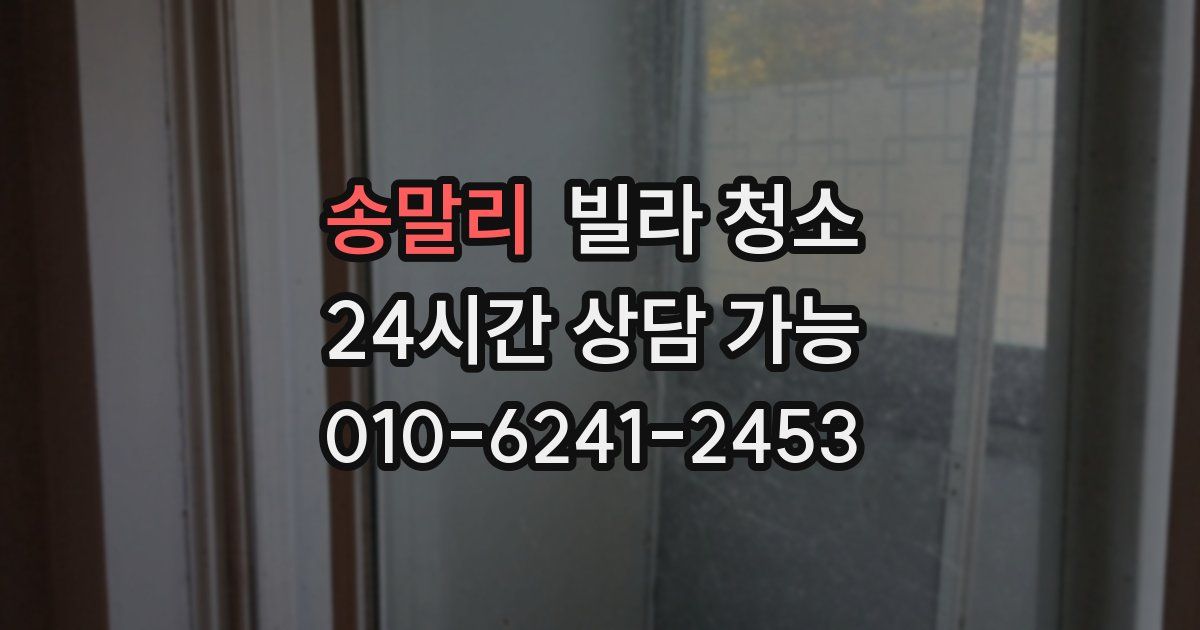 송말리 빌라 청소