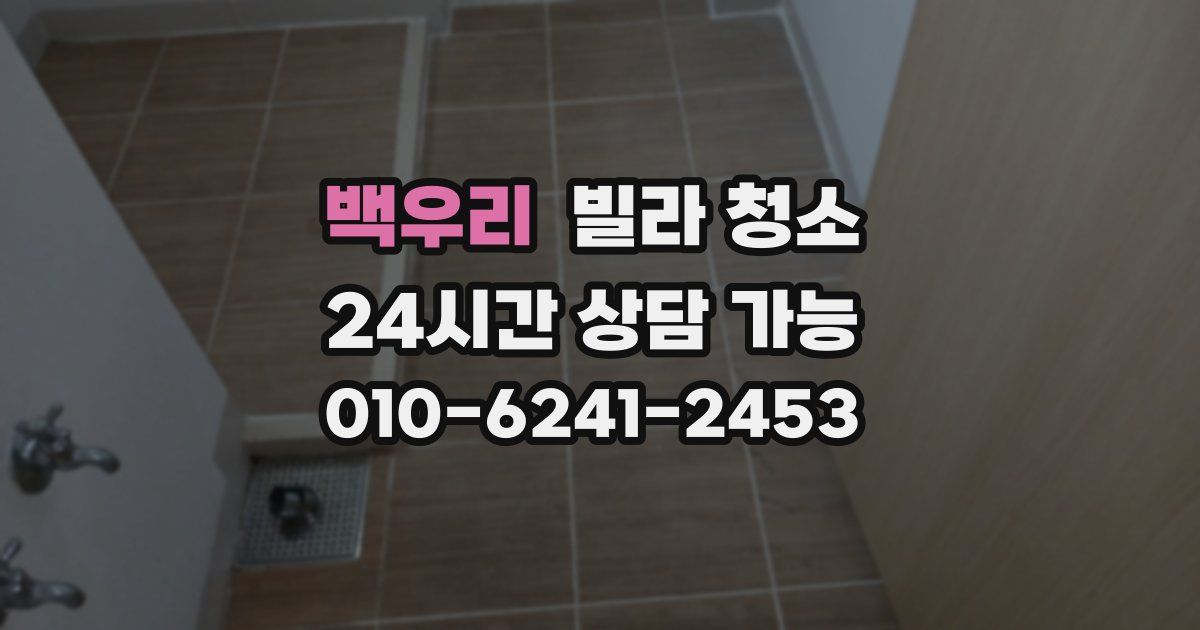 백우리 빌라 청소