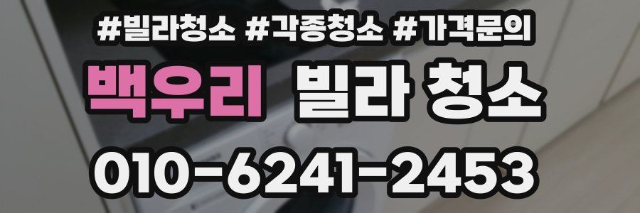 백우리 빌라 청소