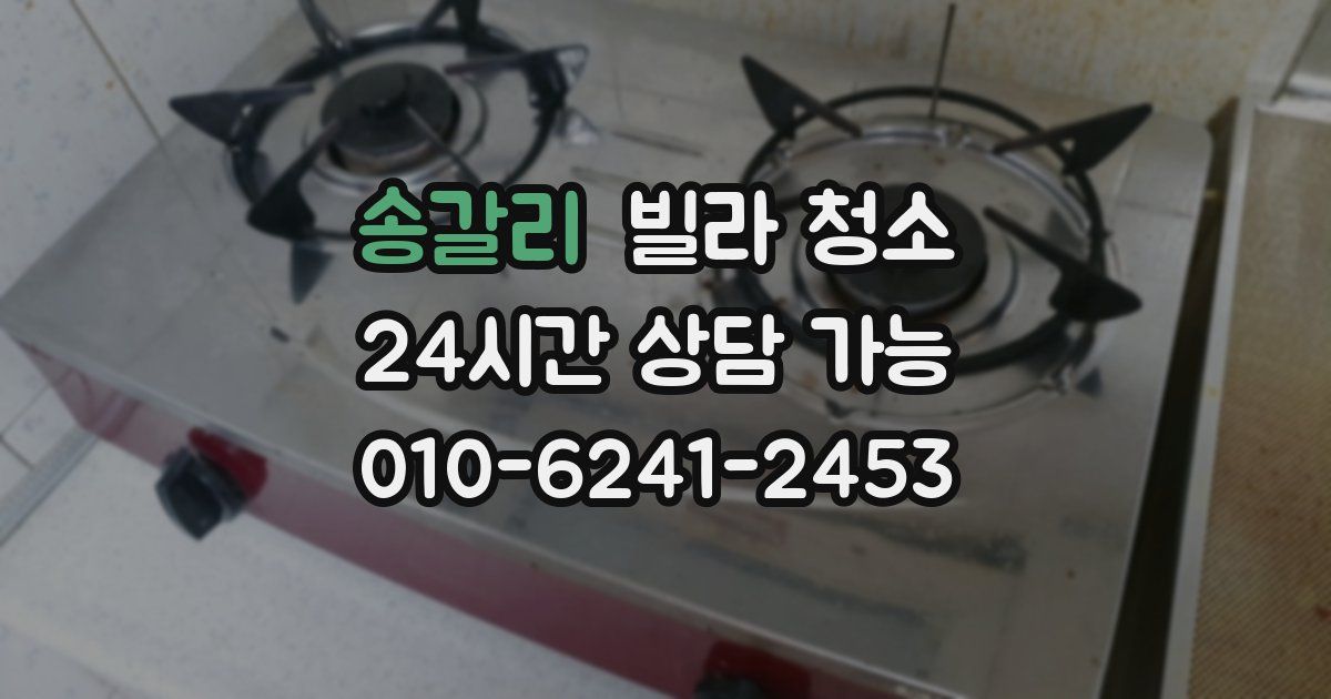 송갈리 빌라 청소