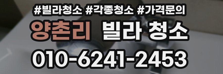 양촌리 빌라 청소