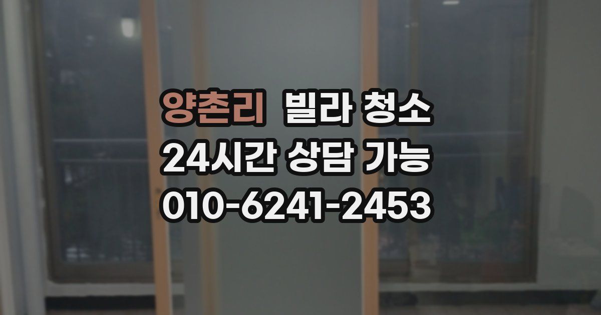 양촌리 빌라 청소