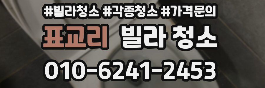 표교리 빌라 청소