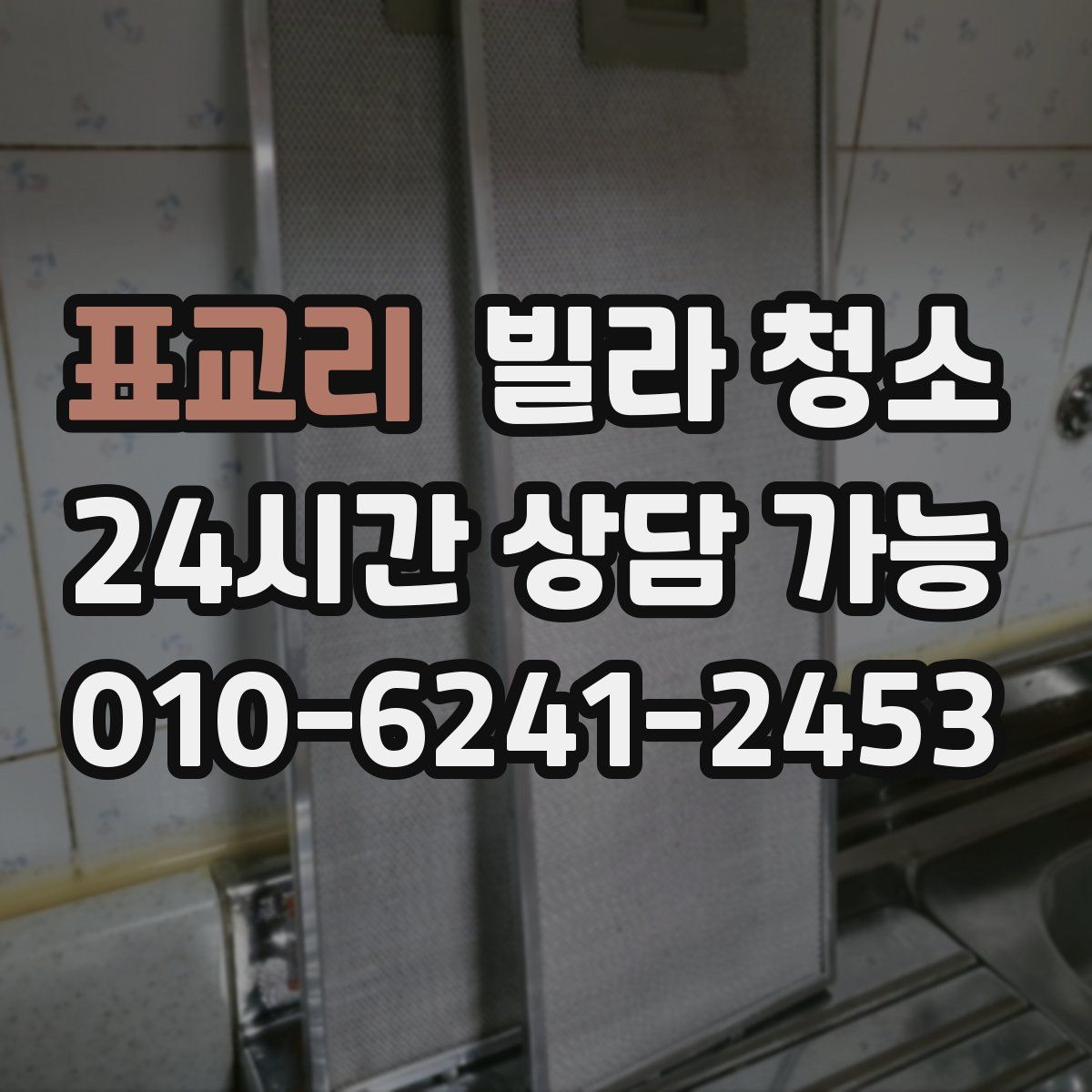 표교리 빌라 청소