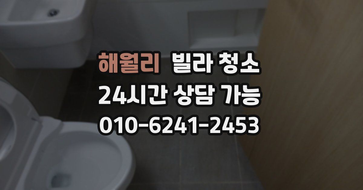 해월리 빌라 청소