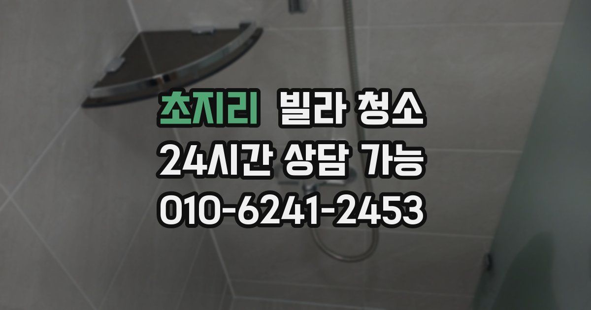 초지리 빌라 청소