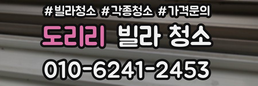 도리리 빌라 청소