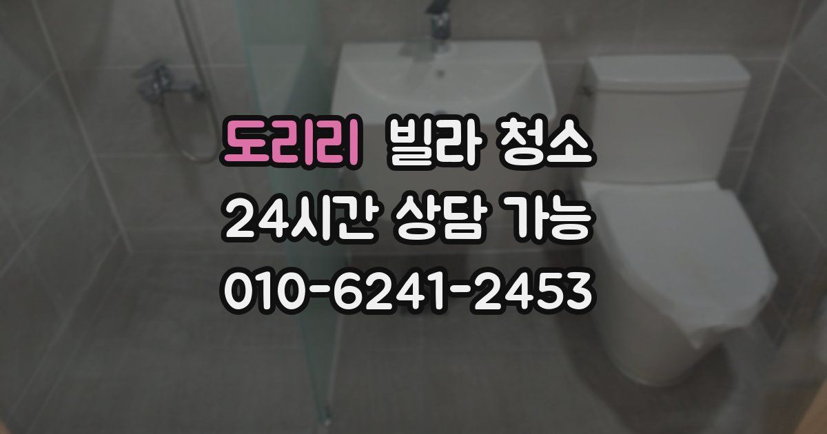 도리리 빌라 청소