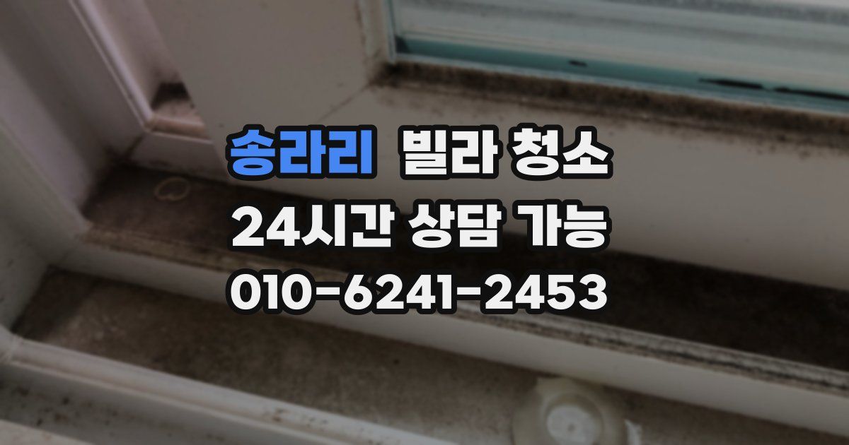 송라리 빌라 청소