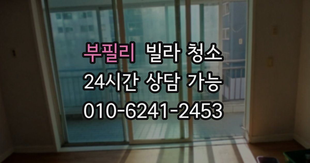 부필리 빌라 청소