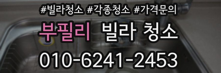 부필리 빌라 청소