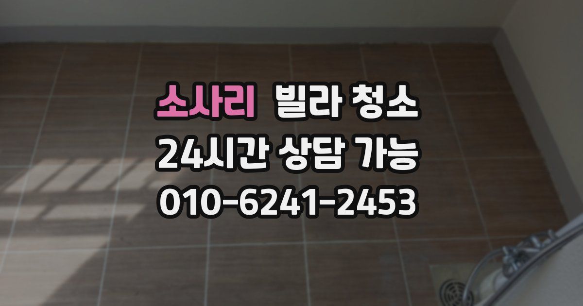 소사리 빌라 청소