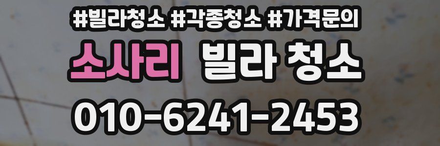 소사리 빌라 청소
