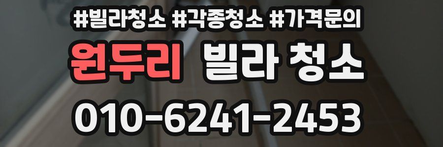 원두리 빌라 청소