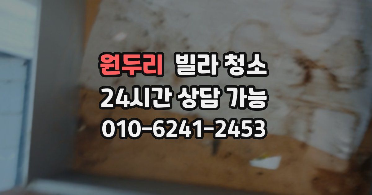 원두리 빌라 청소