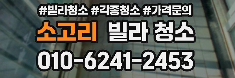 소고리 빌라 청소