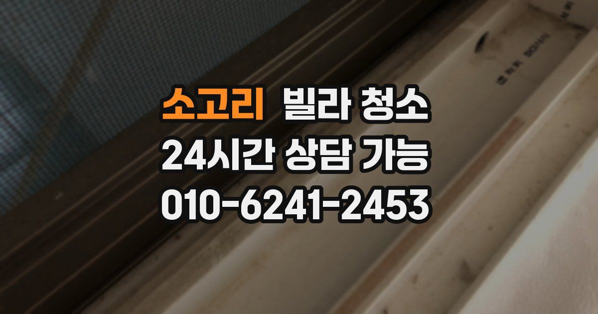 소고리 빌라 청소