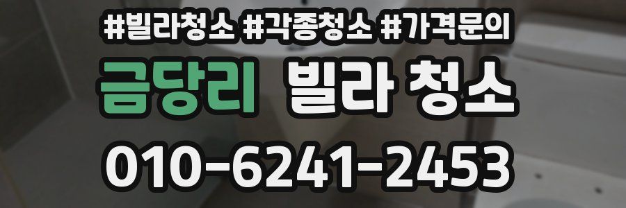 금당리 빌라 청소