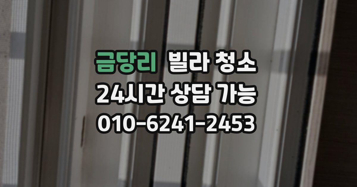 금당리 빌라 청소